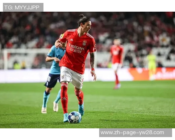 本菲卡主场迎战阿维斯期待全取三分争夺联赛冠军荣耀